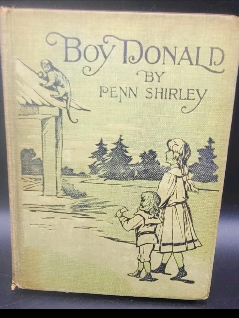 Rare 1900 Boy Donald Penn Shirley First Edition Antique Children’s Book